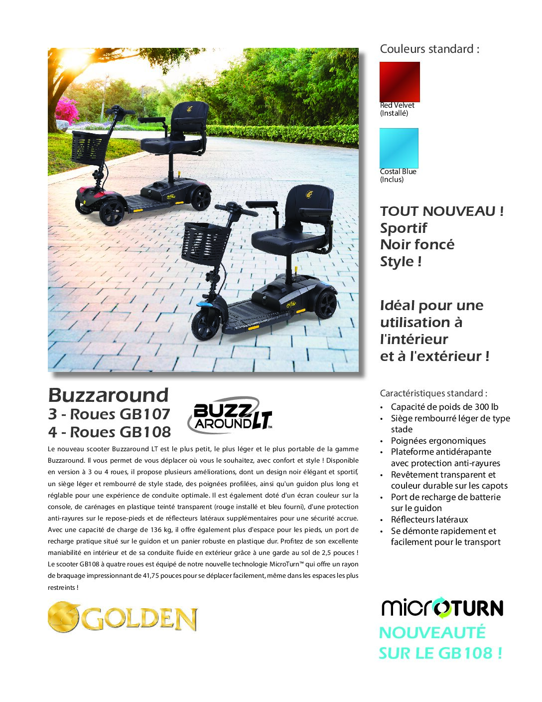 Fiche de vente de BuzzAround LT (GB107/108)
